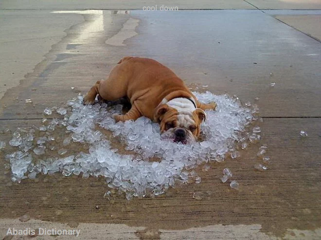 cool down